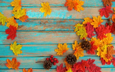 الخريف أوراق صفراء, الأزرق المجالس, خلفية خشبية, الخريف المفاهيم, الأوراق الحمراء