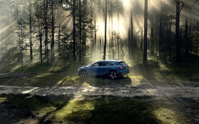 Audi e-tron, 2018, vista lateral, azul SUV, carro el&#233;trico, primeiro puramente el&#233;trico SUV, EUA, Audi