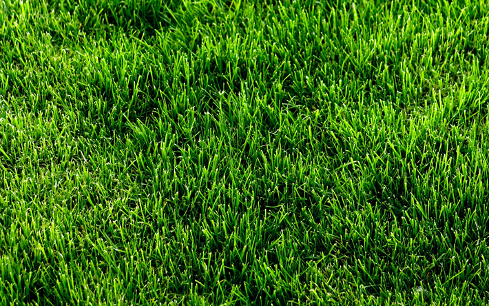 l&#39;herbe verte de la texture, de l&#39;usine de textures, de vert, de milieux, de pr&#232;s, de l&#39;herbe, des textures, de l&#39;herbe verte, close-up, macro, herbe de haut, l&#39;herbe de milieux