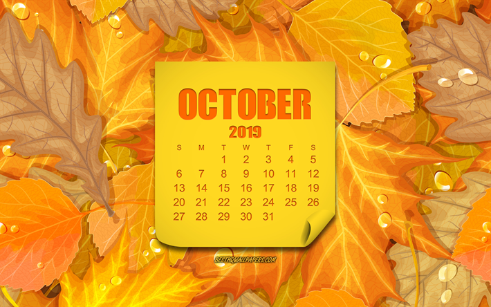 October 2019 Calendar, Yellow Leaves Background, Autumn Background, October, Calendar, Creative Yellow Background