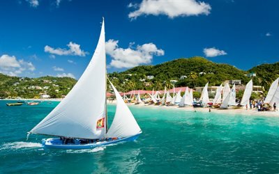 Karayipler, tropik adalar, yelkenliler, Grenada bayrağı, plaj, palmiye ağa&#231;ları, Grenada