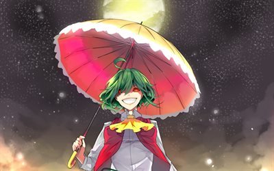 Kazami Yuuka, Touhou, Phantasmagoria of Flower View, portrait, personnages d&#39;anime, manga japonais