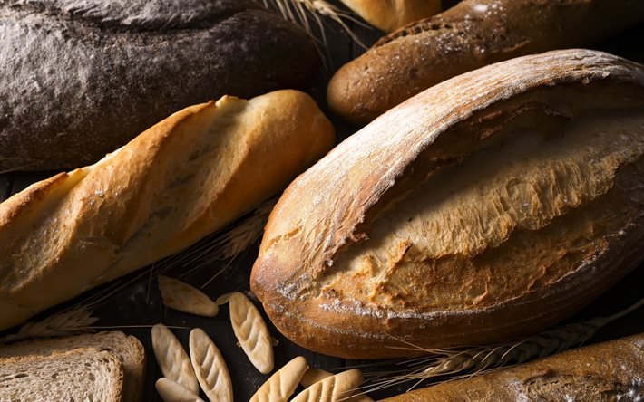 fresh bread, ears of wheat, bread concepts, baked goods, bread