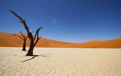 Namib Desert, 4K, Afrikka, rannikon autiomaassa, Namibia