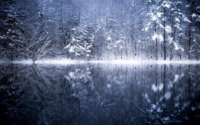Inverno, Fiume, Giappone, foresta, inverno, paesaggio, natura