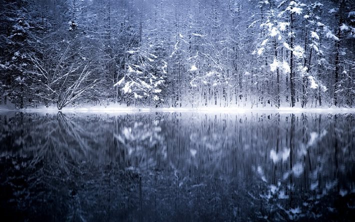 Vinter, River, Japan, skogen, vinterlandskap, naturen Japan