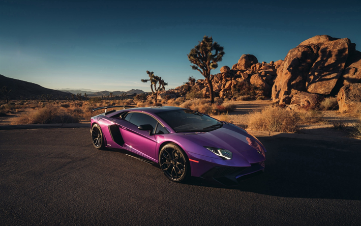 Lamborghini Aventador, SuperVeloce, 2017, purple sports coupe, purple Aventador, HRE p201 Wheels, black wheels, tuning, Lamborghini