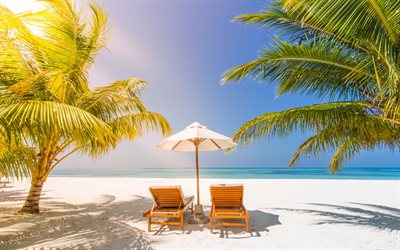 beach chairs, tropical island, palm trees, summer vacation, blue lagoon, azure, ocean