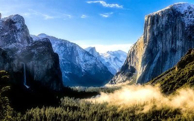 Yosemite Valley, forest, fog, mountains, Yosemite National Park, Sierra Nevada, USA, America