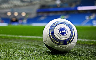 Brighton Hove Albion FC, fotboll med logotyp, emblem, Engelska Football Club, Premier League, fotbollsplan, fotboll gr&#228;smatta, Brighton och Hove, England, F&#246;renade Kungariket, Falmer Stadium