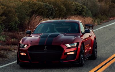 2019, Ford Mustang Shelby GT500, red Mustang with black lines, American sports car, front view, new burgundy Mustang, exterior, tuning, Ford