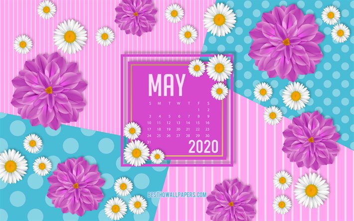 2020 Calendario de Mayo, la primavera rosa de fondo, 2020 primavera calendarios de Mayo de 2020, calendarios, Puede 2020 Calendario