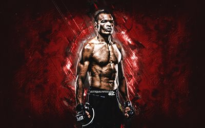 Francisco Trinaldo, Brezilyalı D&#246;v&#252;ş&#231;&#252;, portre, Ultimate Fighting Championship, kırmızı taş arka plan, UFC