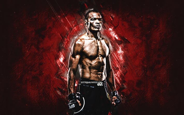 Francisco Trinaldo, Brazilian fighter, portrait, Ultimate Fighting Championship, red stone background, UFC