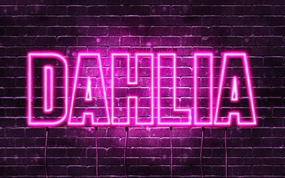 Dahlia, 4k, wallpapers with names, female names, Dahlia name, purple neon lights, horizontal text, picture with Dahlia name