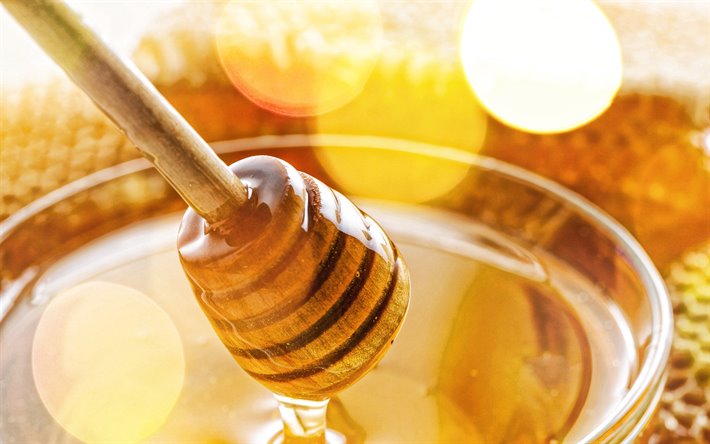 vara de madeira com mel, doces, mel conceitos, prato com mel