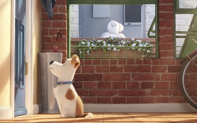 ماكس, 4k, الكلب, 3d الرسوم المتحركة, سر الحياة من الحيوانات الأليفة
