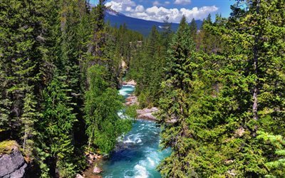 Canada, mountains, mountain river, summer, rocks