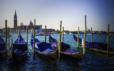 Venezia, 4k, mattina, gondole, Italia