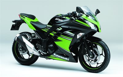 Kawasaki Ninja 250, 4k, sports bike, superbike, Kawasaki, Japanese motorcycle, green Ninja