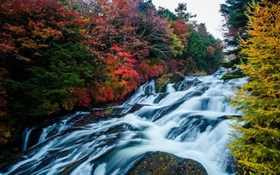 autumn, mountain river, waterfall, stones, forest, red trees