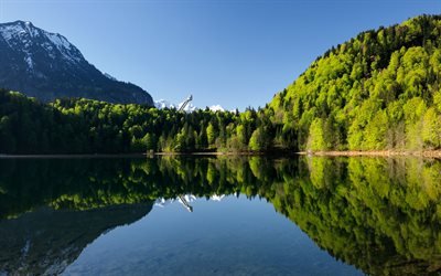 Freiberg Lago, 4k, ver&#227;o, montanhas, alem&#227;o marcos, floresta, Europa, Oberstdorf, Alemanha