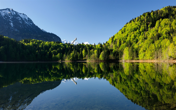 Freiberg Lago, 4k, estate, montagna, tedesco punti di riferimento, foresta, Europa, Oberstdorf, Germania