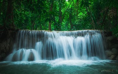 waterfall, tropical forest, lake, green trees