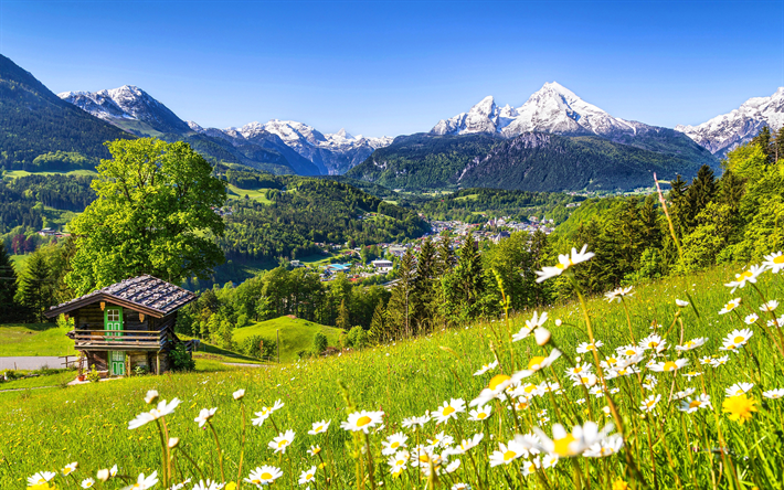 4k, Alpes, prados, monta&#241;as, verano, Alemania, Europa