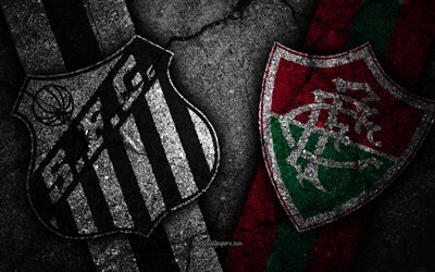 Santos vs Fluminense, Omg&#229;ng 31, Serie A, Brasilien, fotboll, Fluminense FC, Santos FC, brasiliansk fotboll club