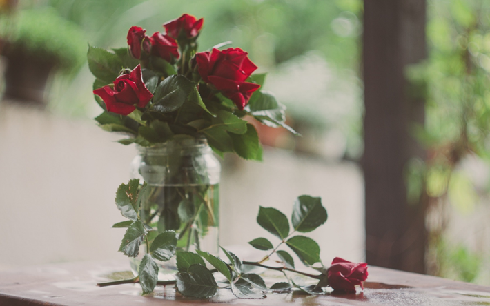 rote rosen, rote blumen, glas, vase, bouquet von rosen