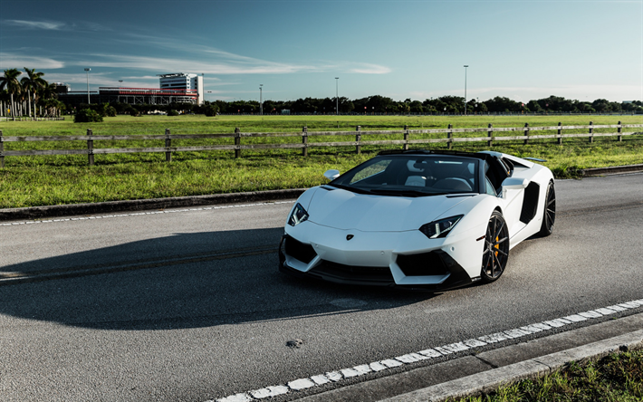 Lamborghini Aventador, 2019, front view, white sports coupe, tuning, Italian sports cars, Lamborghini