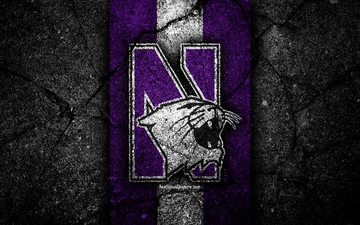 Northwestern Wildcats, 4k, &#233;quipe de football am&#233;ricain, NCAA, pierre blanche violette, USA, texture asphalte, football am&#233;ricain, logo Northwestern Wildcats