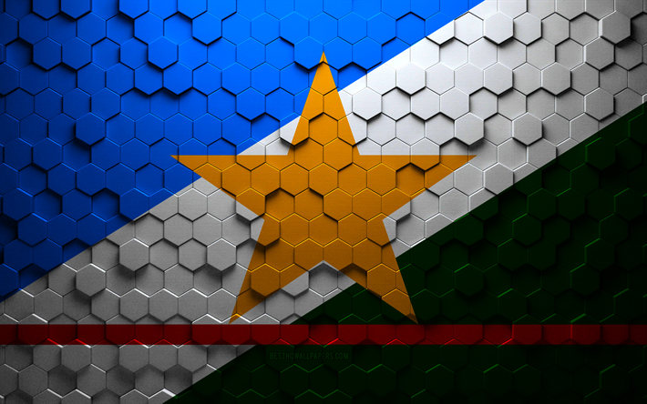 Flag of Roraima, honeycomb art, Roraima hexagons flag, Roraima, 3d hexagons art, Roraima flag
