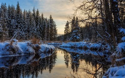 river, winter, forest, sunset, evening, winter landscape, snow