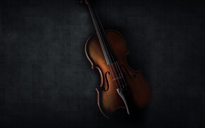 violine, dunkelheit, musikinstrumente, alte geige
