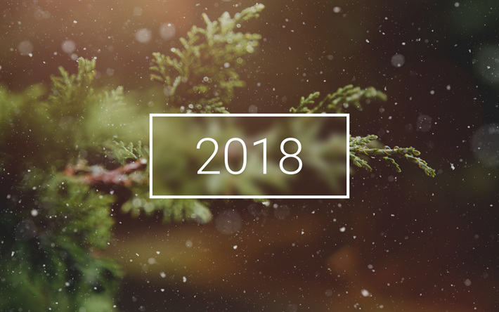 2018, Mutlu Yeni Yıl, 2018 kavramlar, orman, ağa&#231;lar