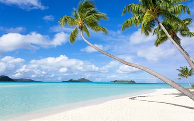 tropik adalar, palmiye ağa&#231;ları, sahil, okyanus, mavi lag&#252;n, deniz manzarası