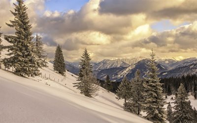 vinterlandskap, berg, sn&#246;, skogen, tr&#228;d, mountain valley