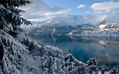 inverno, paesaggio di montagna, Norvegia, abete, fiordo, foresta