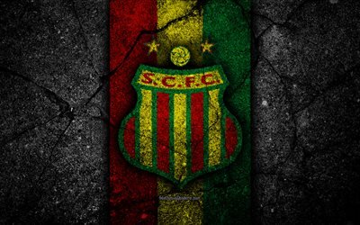 Sampaio Correa FC, 4k, logo, calcio, campionato di Serie B, in pietra nera, il calcio, il Brasile, l&#39;asfalto texture, Sampaio Correa logo, Brasiliana di calcio club