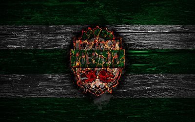 Liepaja FC, el fuego logotipo, SynotTip Virsliga, el verde y el blanco de las l&#237;neas, let&#243;n club de f&#250;tbol, grunge, de f&#250;tbol, de Liepaja, logotipo, FK Liepaja, textura de madera, Letonia