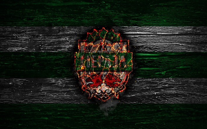 Liepaja FC, fire logo, SynotTip Virsliga, green and white lines, Latvian football club, grunge, football, soccer, Liepaja logo, FK Liepaja, wooden texture, Latvia