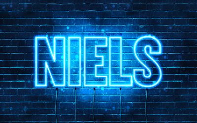 Niels, 4k, pap&#233;is de parede com nomes, nome de Niels, luzes de n&#233;on azuis, feliz anivers&#225;rio, nomes masculinos holandeses populares, foto com o nome de Niels