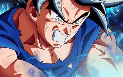 Siyah Goku, 2018, savaş&#231;ı, DBS, manga, Goku, Dragon Ball S&#252;per