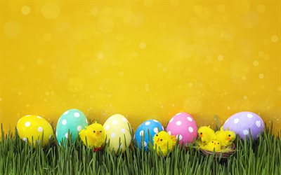 Easter eggs, yellow wall, yellow chicken, Easter, decoration, spring