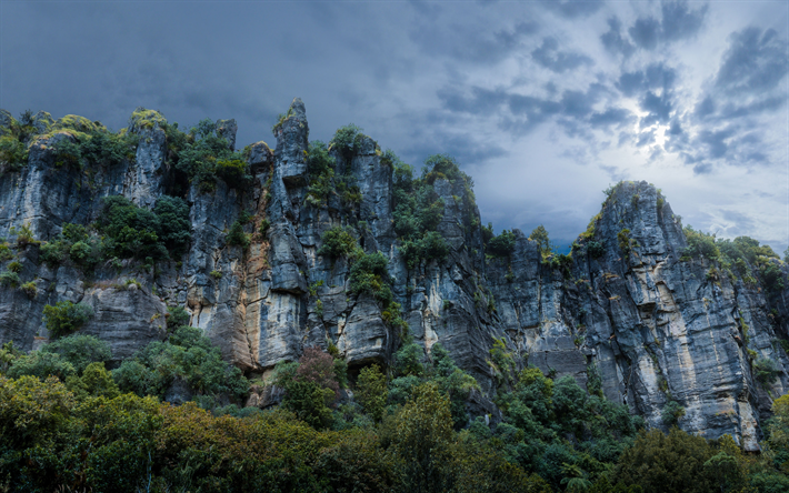 Piopio, 4k, kivi&#228;, kallioita, pilvet, Uusi-Seelanti