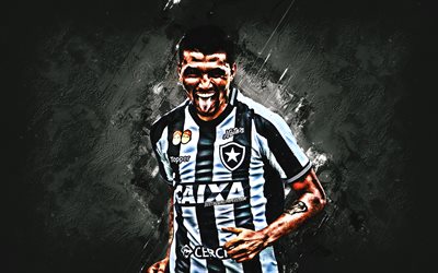 Kieza, Botafogo, striker, joy, goal, white stone, portrait, famous footballers, football, Brazilian footballers, grunge, Serie A Brazil, Welker Marcal de Almeida
