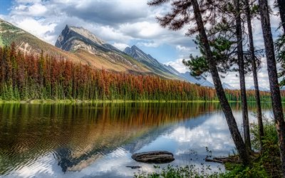 Honeymoon Lake, 4k, autumn, forest, Jasper National Park, mountains, Alberta, Canada, North America, beautiful nature