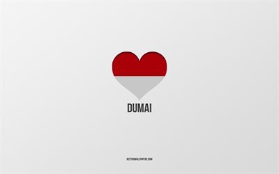 Jag &#228;lskar Dumai, indonesiska st&#228;der, Day of Dumai, gr&#229; bakgrund, Dumai, Indonesien, indonesiska flagghj&#228;rta, favoritst&#228;der, Love Dumai